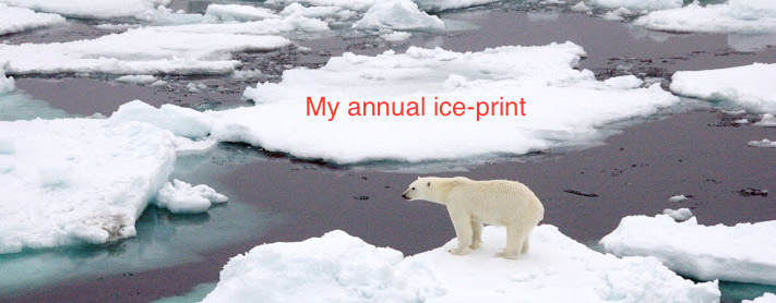 sea_ice_polar_bear