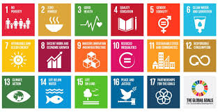 global goals plan vivo