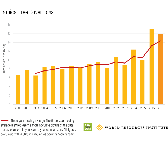 tropical tree loss