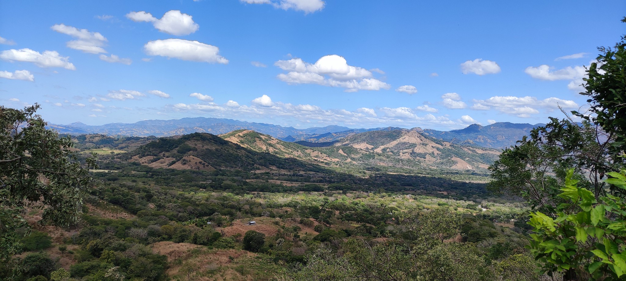  CommuniTree Program Nicaragua – Plan Vivo 