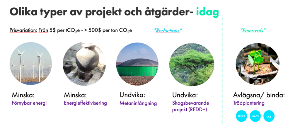 Klimatkompensation – projekt och åtgärder