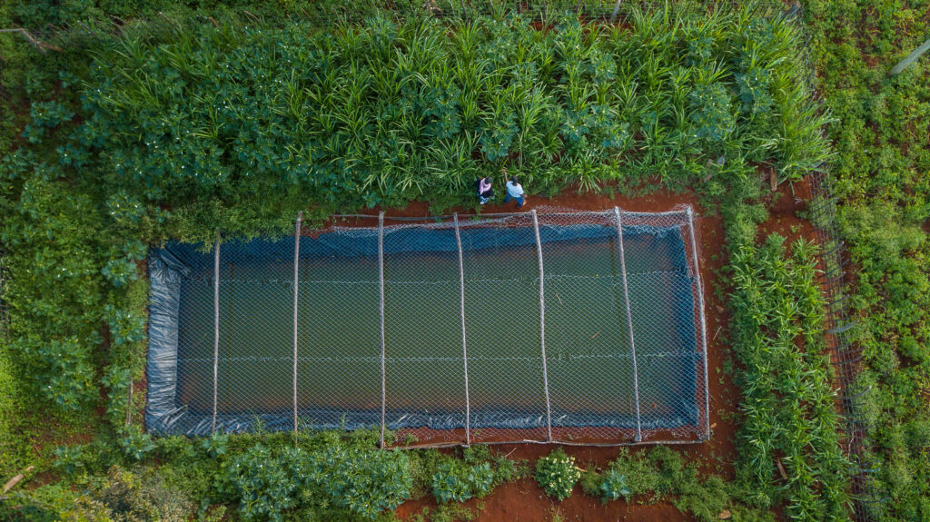 En vattenreservoar sedd från ovan.