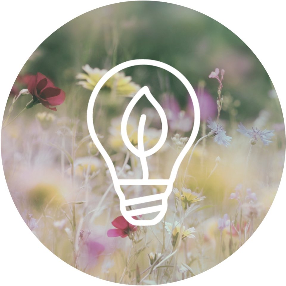 Using the framework from the Science Based Targets Network, you can set scientific goals for reducing your impact on nature.
