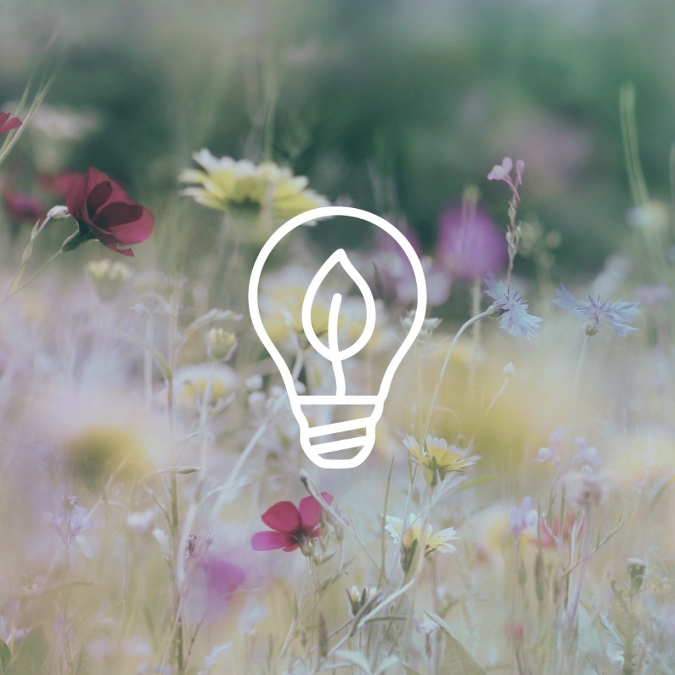 A white icon depicting a light bulb with a leaf in the center, set against a field of flowers.
