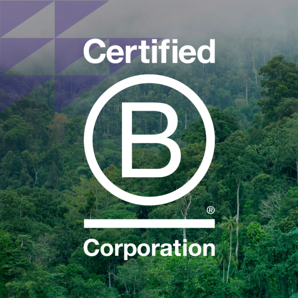 B Corp logga framför en djungel.