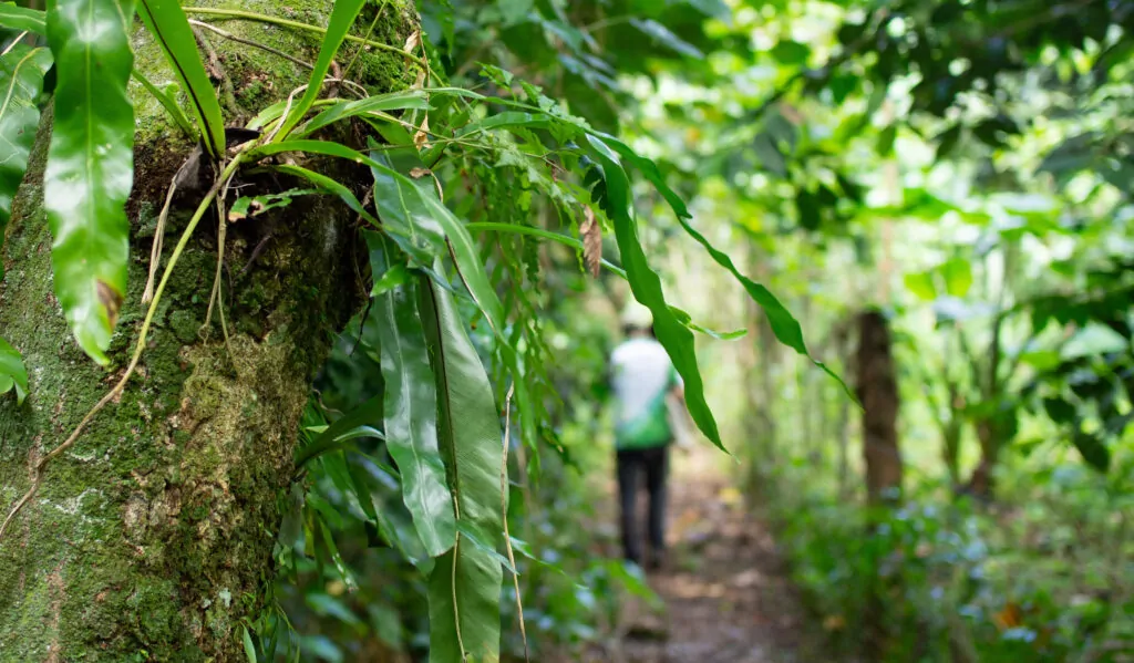 Loru Forest Conservation Area