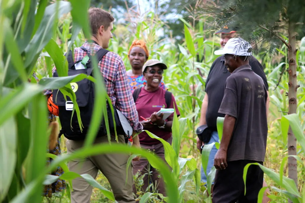 A group of people standing in tall grass