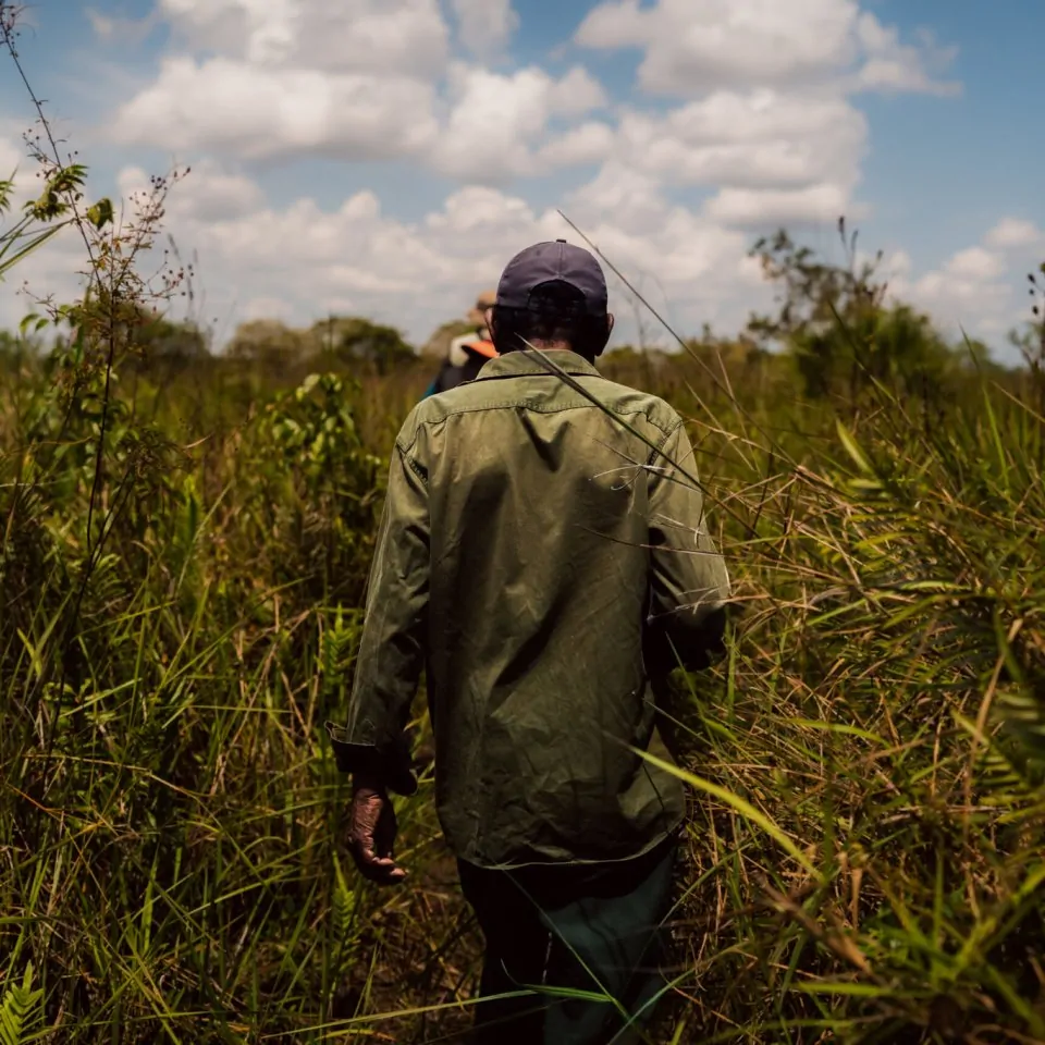 A man walking through tall grass in Honduras, Paskaia.