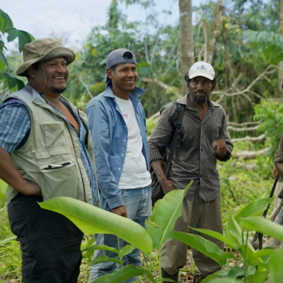 En grupp män som står i högt gräs och skrattar i Honduras.