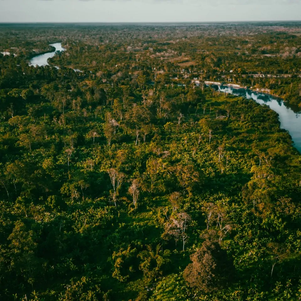 View of the forest and river from the Paskaia project