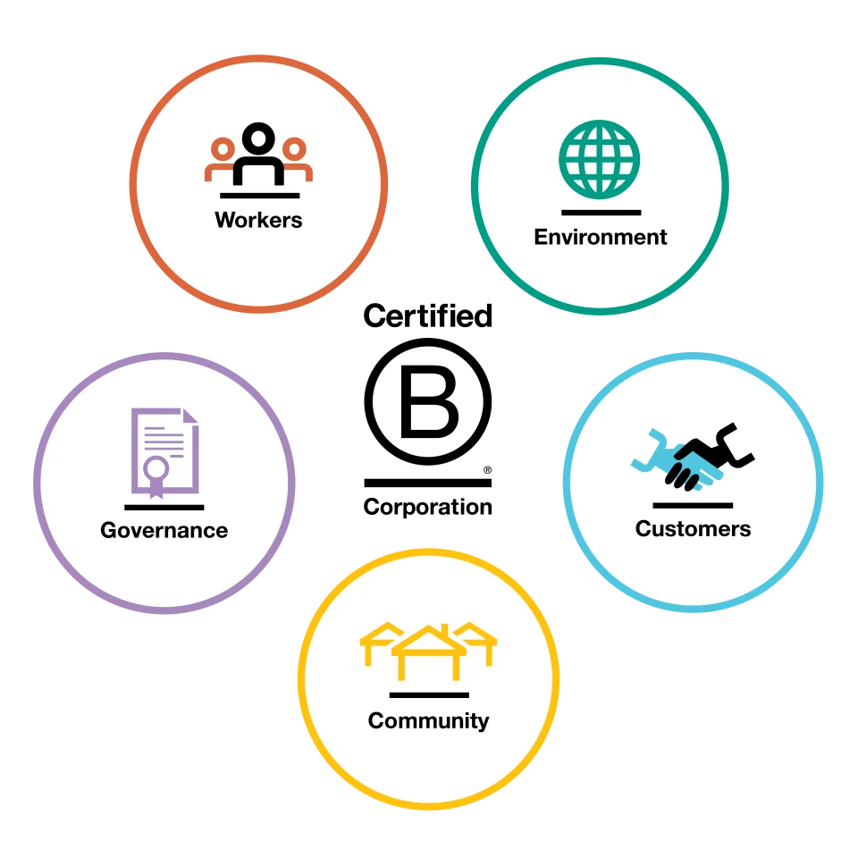 B-corp impact areas