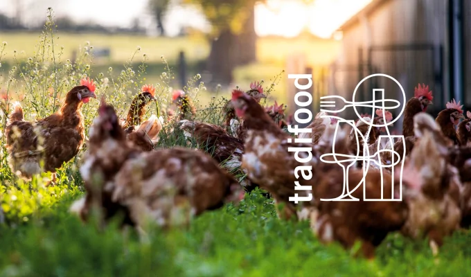 Klimatberäkningar och klimatfinansiering från gård till bord hos Tradifood